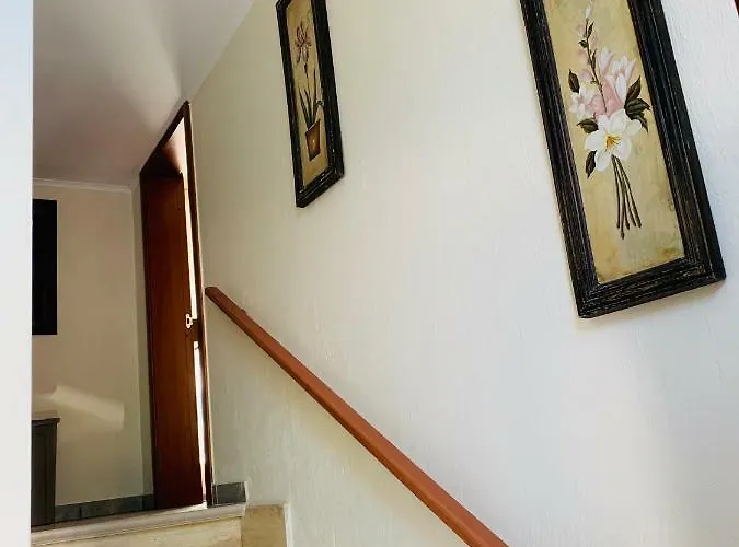 Daire Ambrosia Ruffano